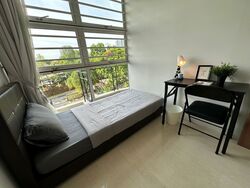 Sheares Ville (D10), Apartment #501700051